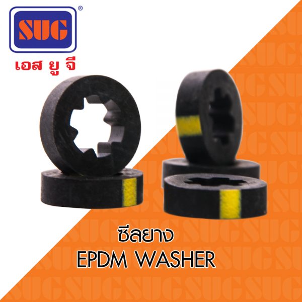 ซีลยาง EPDM / EPDM WASHER