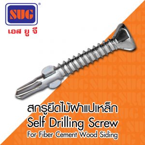 สกรูยึดไม้ฝาและเชิงชาย แปเหล็ก