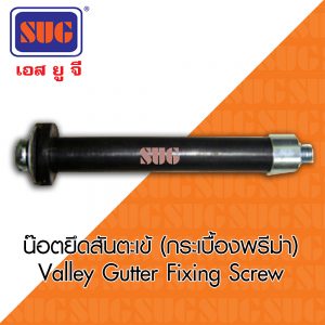 น๊อตยึดสันตะเข้ (กระเบื้องพรีม่า) / Valley Gutter Fixing Screw